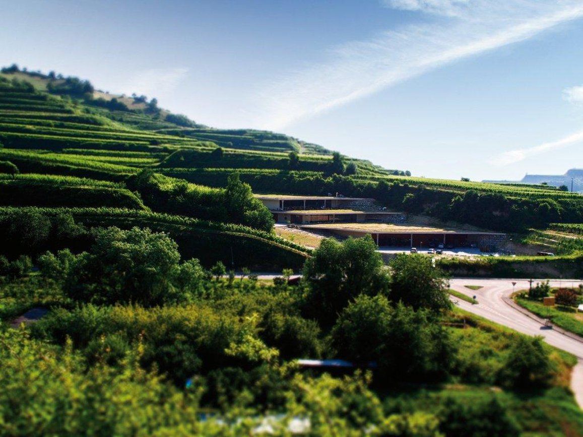 Schwarzer Adler Otel Vogtsburg Olanaklar fotoğraf